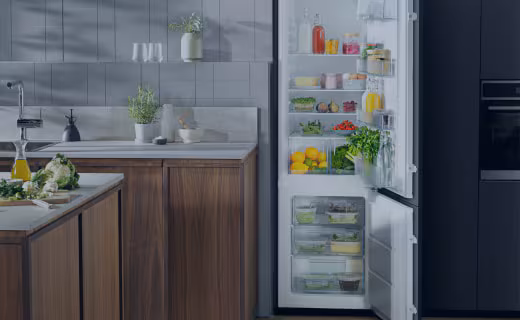 magazin-online-electrolux category image